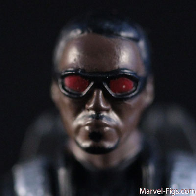 TWS-Falcon-Head-Shot