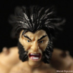 Wolverine-with-Status-Chamber-WOlveirne-Head-Shot