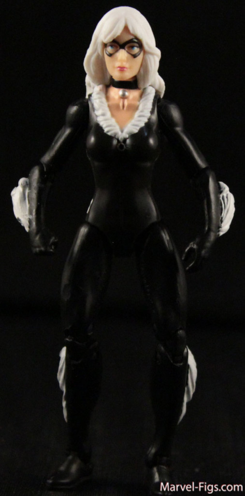 Black-Cat-Body-Shot