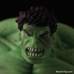 MU-Twin-packs-Hulk-Head-Shot