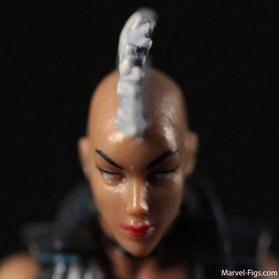 Mohawk-Storm-head-Shot