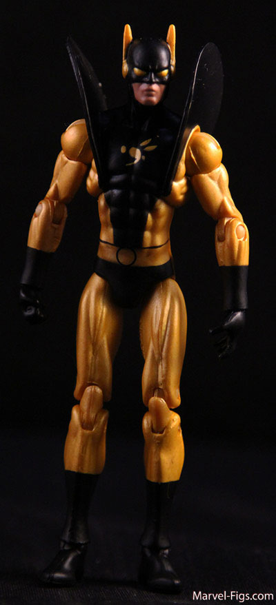 Yellowjacket-Body-Shot