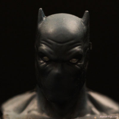 Black-Panther-Head-Shot