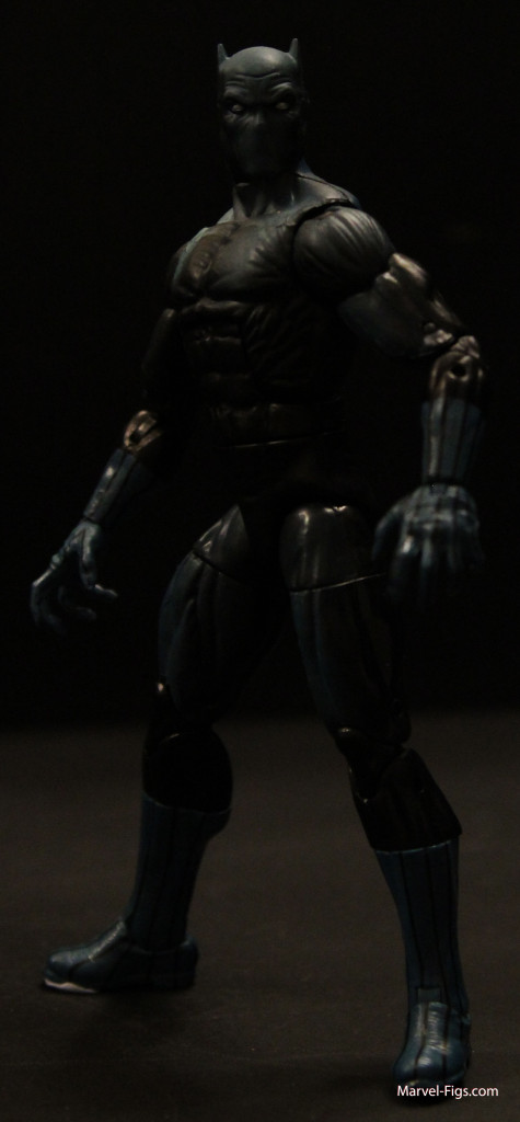 Black-Panther-body-Shot