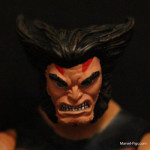 AoA-Wolverine