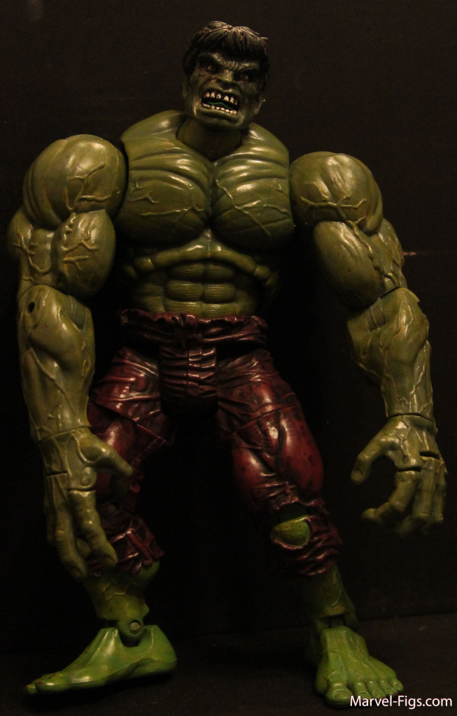 Hulk-Body-Shot