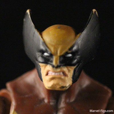 ML-Brown-Costume-Wolverine-Head