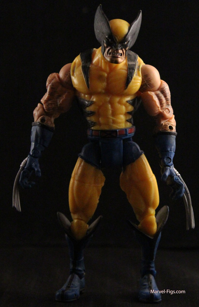 Wolverine-Body-Shot