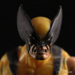 Wolverine-Head-Shot